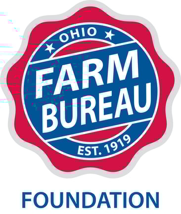 Foundation-Logo-Color